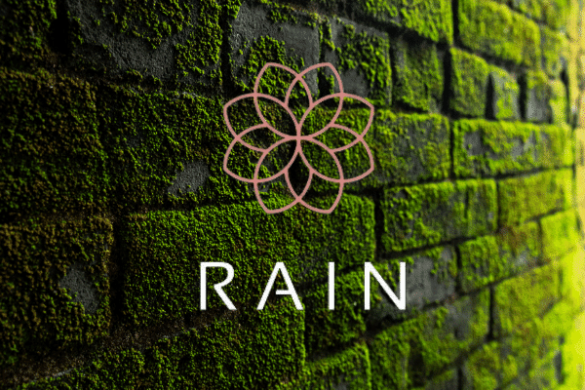Rain Financial Secures $6 Million Series A Funding