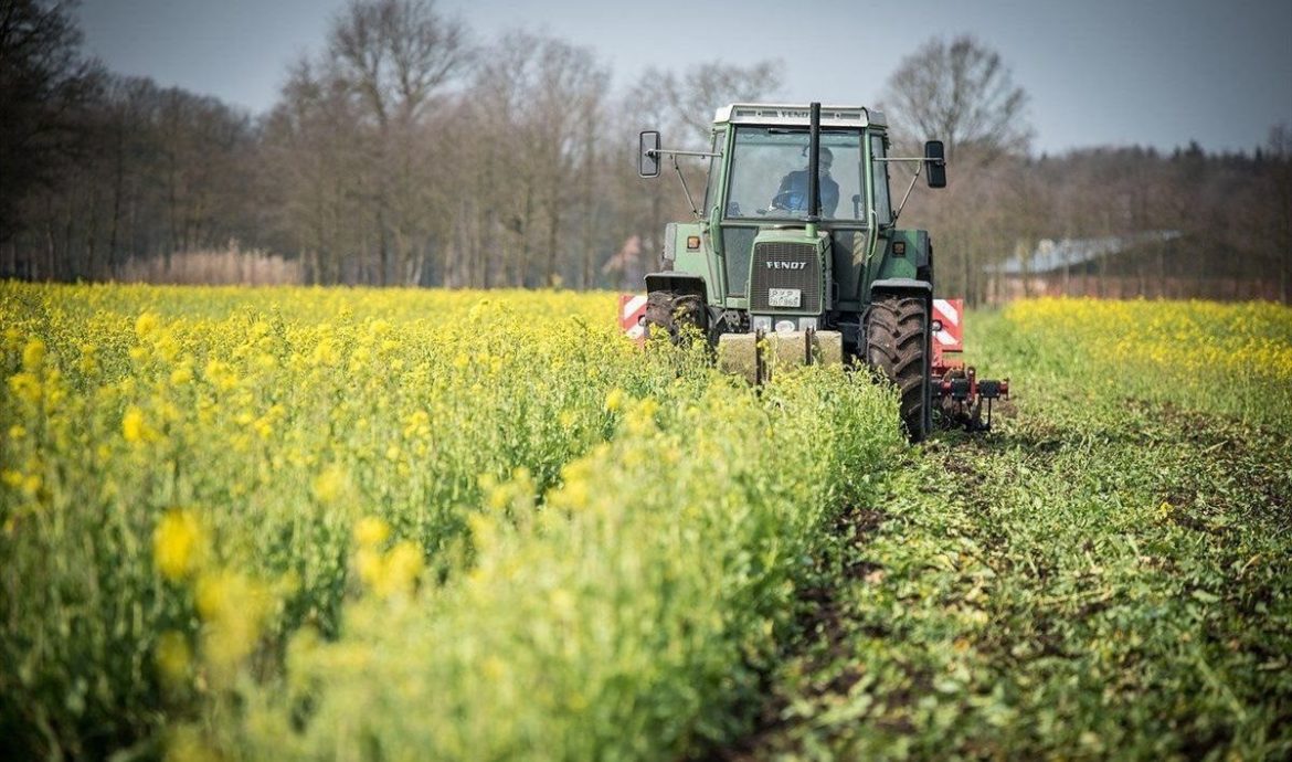 South African government should focus on expansion of agricultural export markets South African government should focus on expansion of agricultural export markets