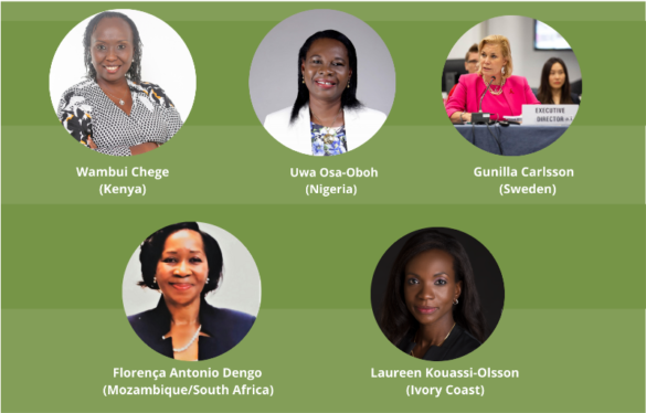 African Venture Philanthropy Alliance appoints five new board members