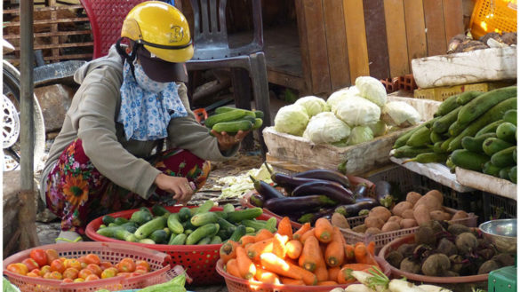 UN launches hunt for start-ups and enterprises changing the face of food systems
