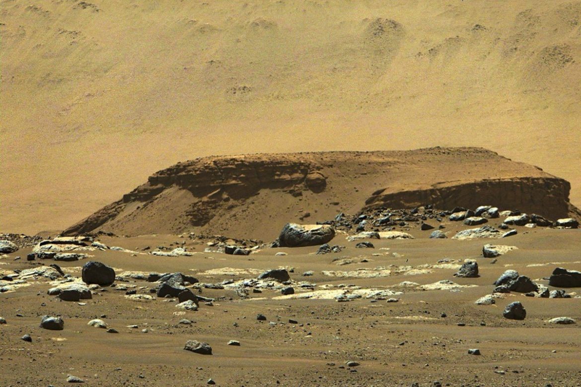 Fungi on Mars? Researchers claim signs of life on red planet Fungi on Mars? Researchers claim signs of life on red planet