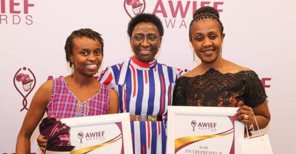 Call for nominations for AWIEF Awards 2021