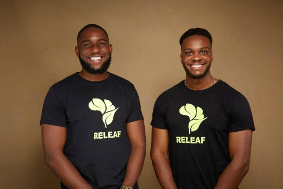 Nigerian Agritech startup Releaf secures $4.2m funding to scale its services