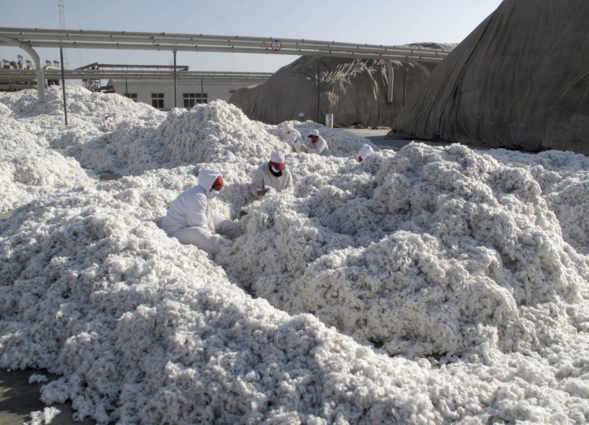 China forcing fashion industry to silence concerns over 'dirty' cotton