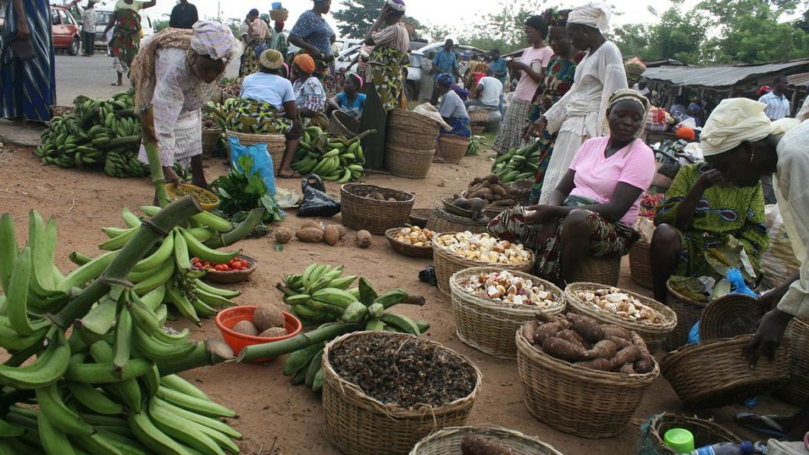 ‘How agro-allied companies can lower food prices