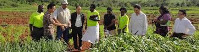 Uganda fertile land can feed 200 million: FAO Uganda fertile land can feed 200 million: FAO