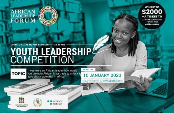 Application for the Japan-Africa Investment Drive investment accelerator for African Startups