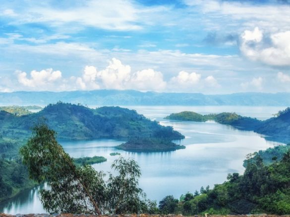 Rwanda to Double Budget on Biodiversity Restoration