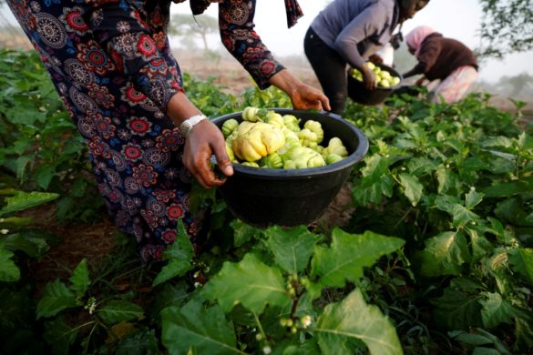 Development partners commit $30 billion to food production in Africa
