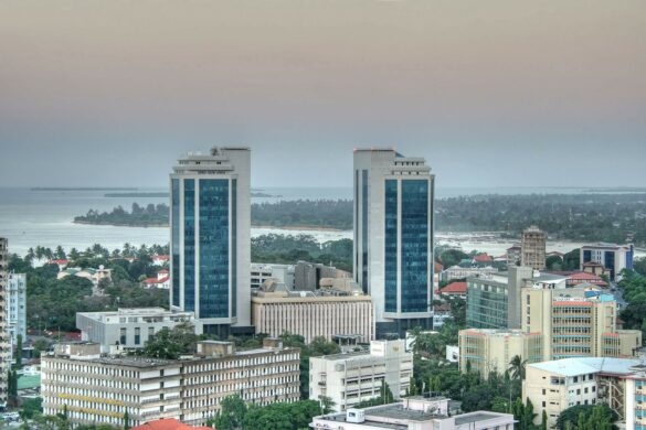 Tanzania targets Chinese tourism market to boost visitor numbers