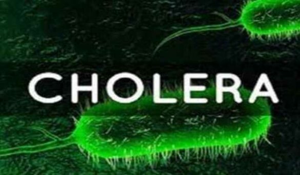 South Africa records 46 suspected cholera cases, five lab-confirmed cases