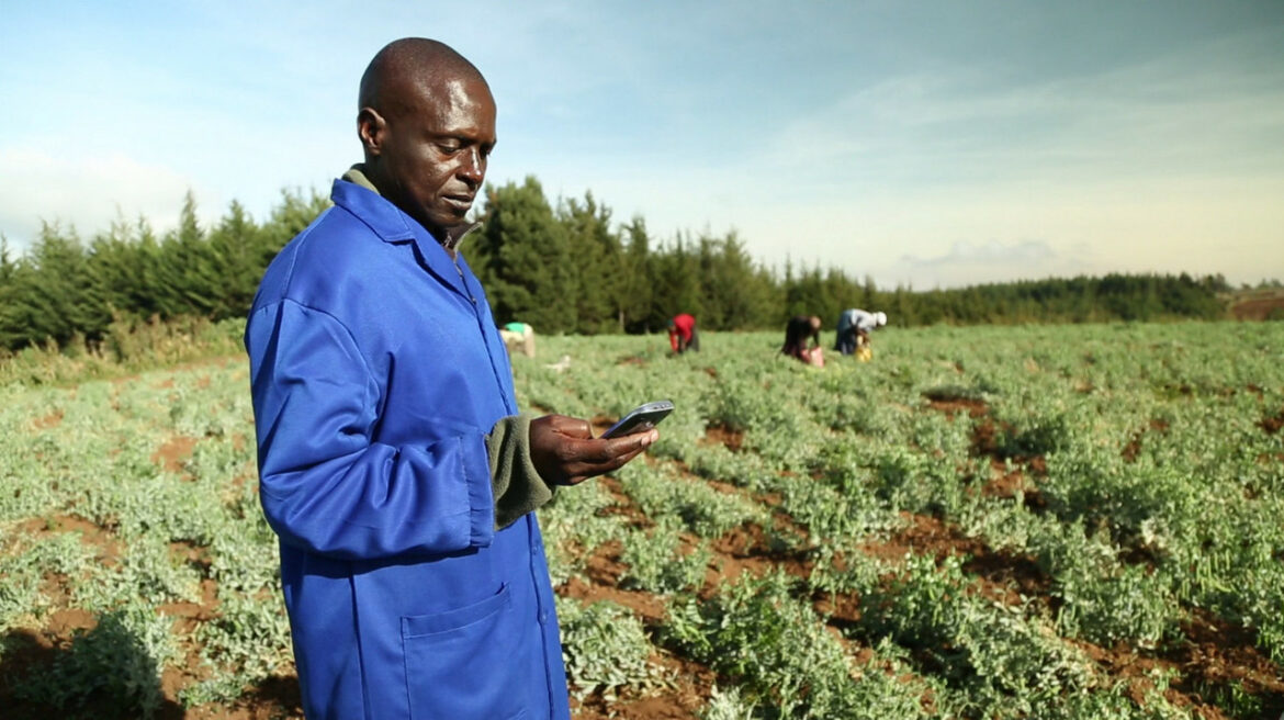 Africa’s food sustainability depends on greener production, waste reduction Africa's food sustainability depends on greener production, waste reduction