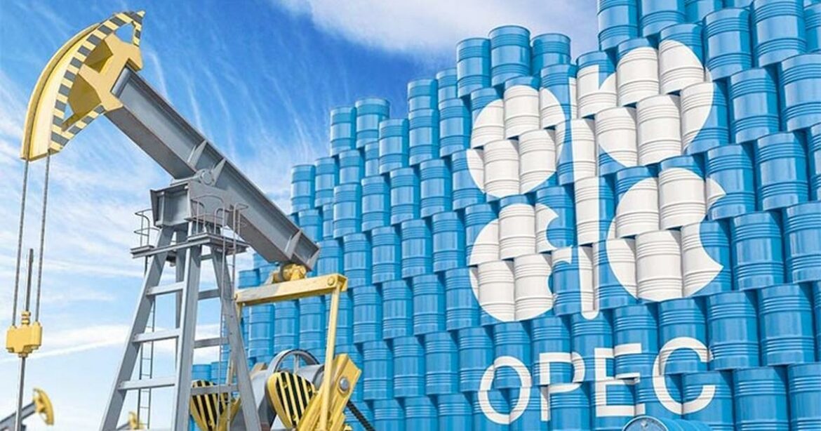 Namibia eyes OPEC membership as large-scale oil production looms