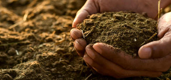 UNESCO raises global alarm on rapid soil degradation