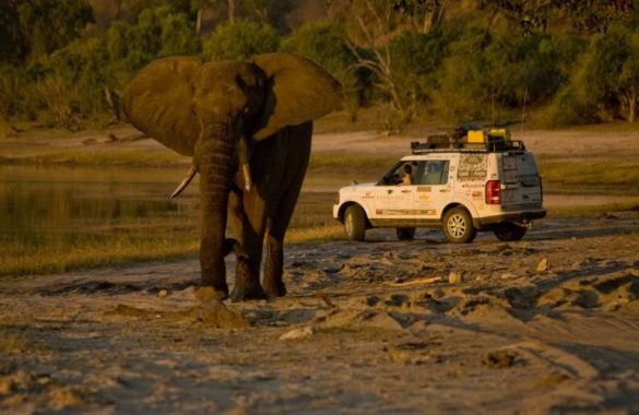 Botswana, South Africa and Zimbabwe Sign Landmark Treaty to Protect Greater Mapungubwe Conservation Area