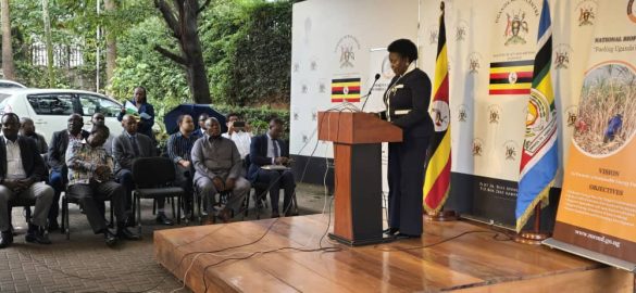 Uganda to Begin Ethanol Fuel Blending in 2025