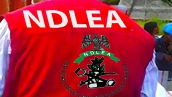 NDLEA Commander Rescued in Anambra