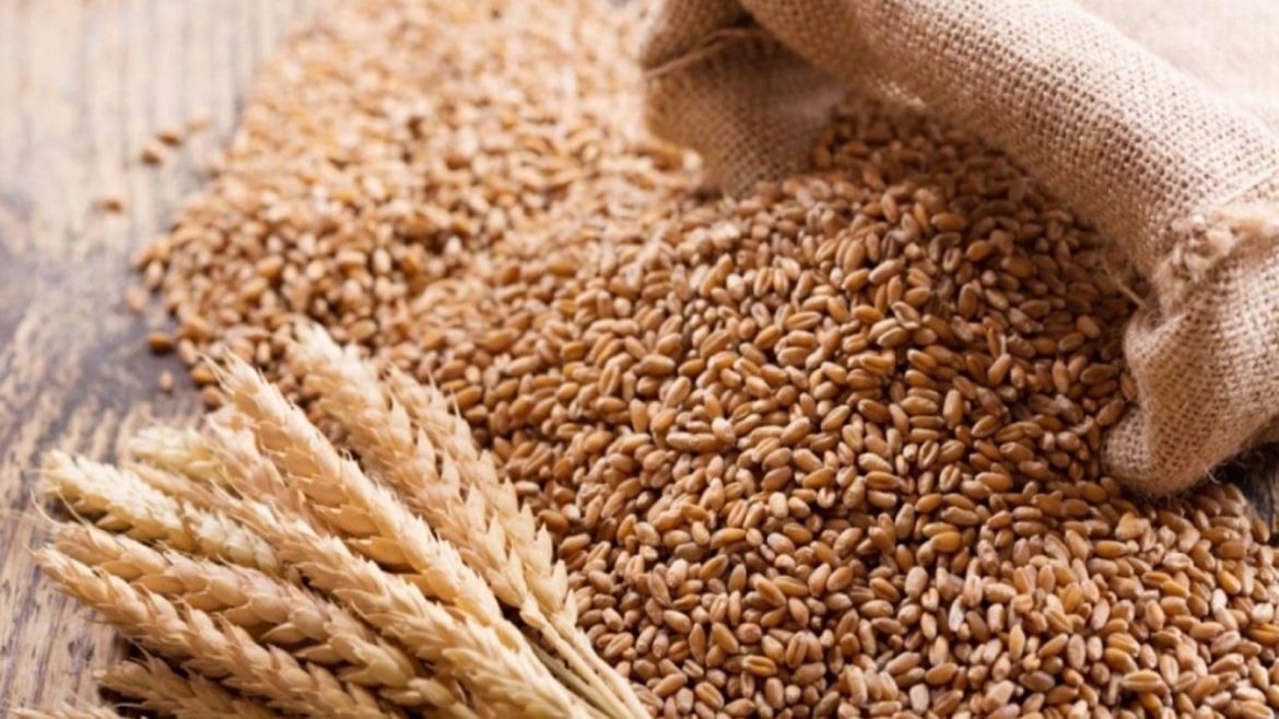 Morocco to Increase Wheat Imports Amid Falling Global Prices