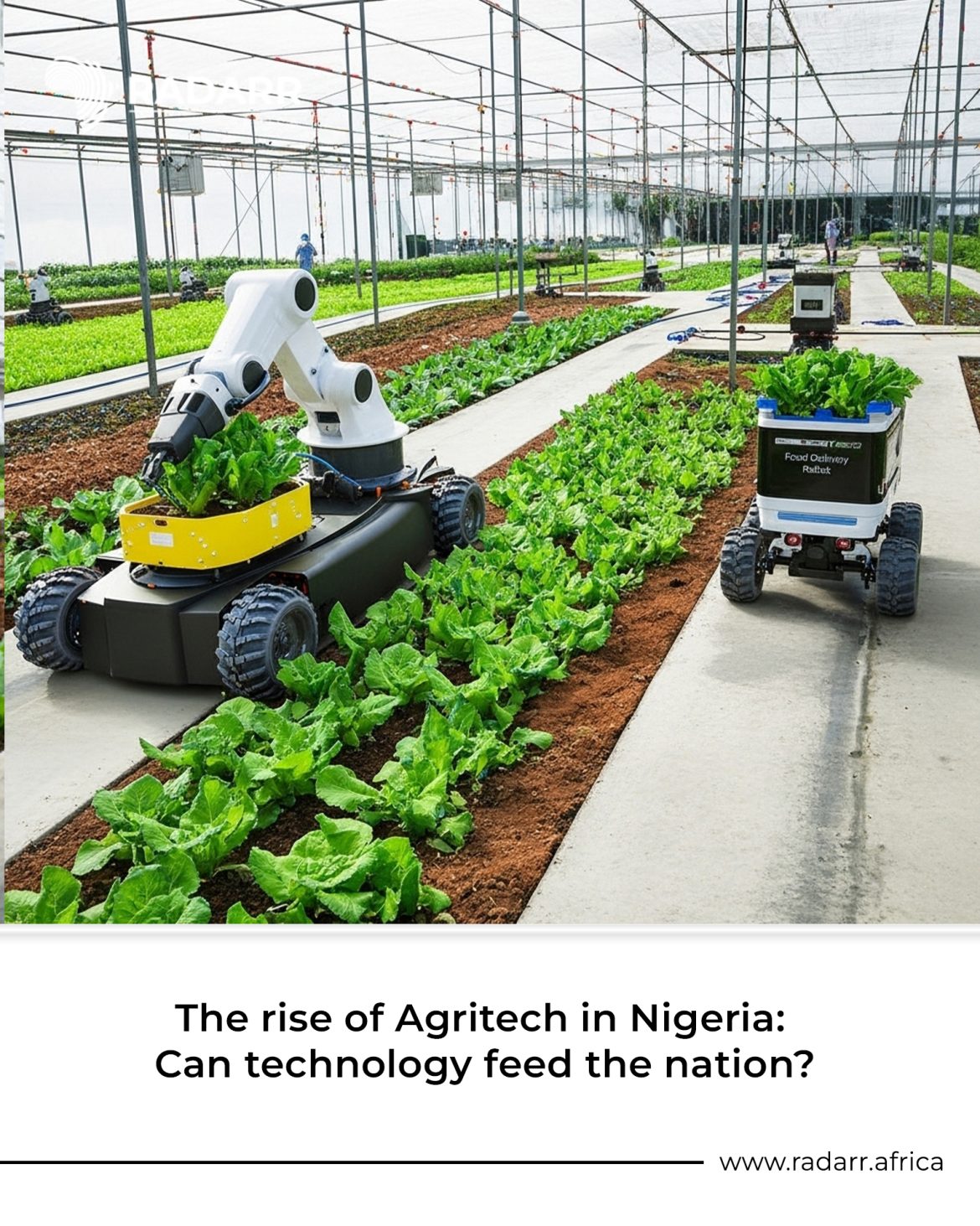 The rise of agritech in Nigeria