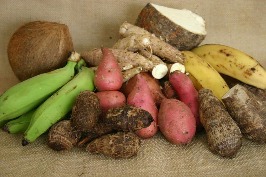 FOOD-1-scaled.jpg