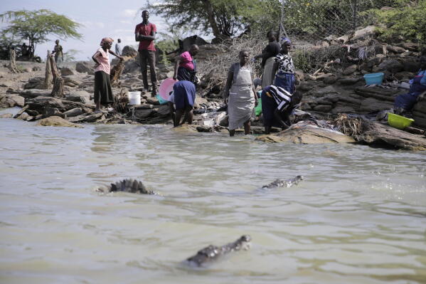 CROCODILE.JPG